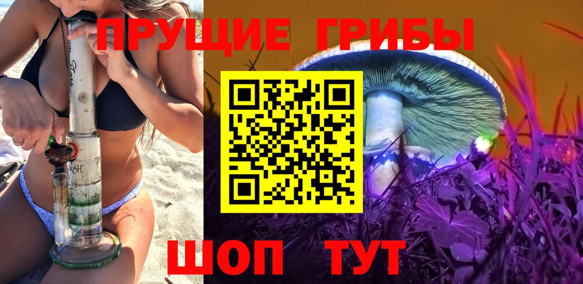 Псилоцибиновые грибы Cubensis Калининград