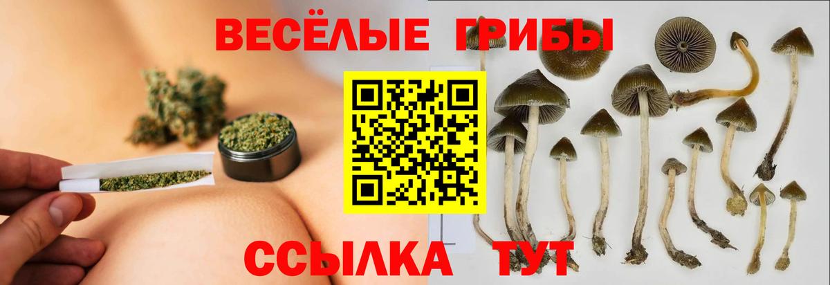 Калининград  Галлюциногенные грибы Psilocybine cubensis  как найти закладки  Вход с VPN 